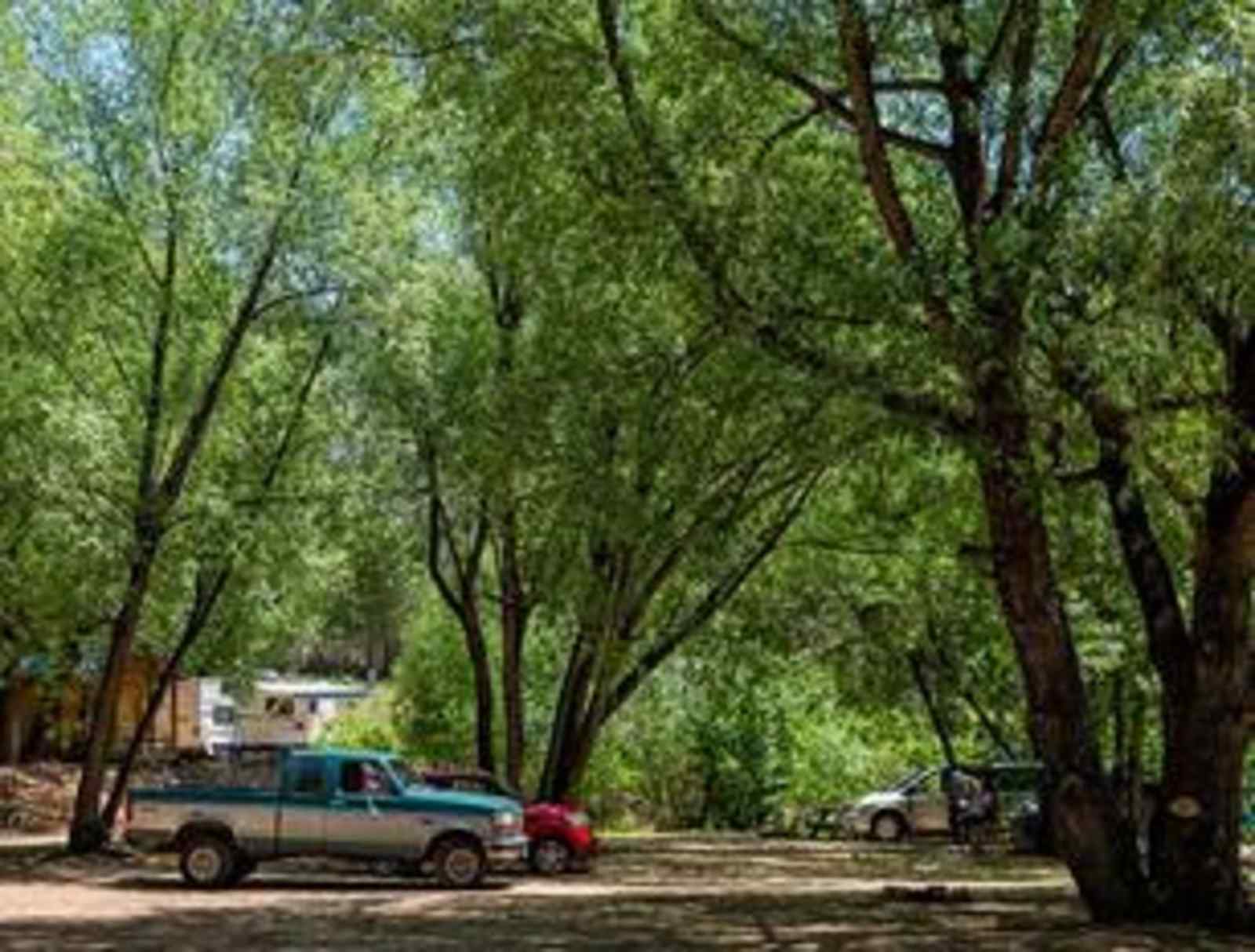 Lone Duck Campground and Cabins - Cascade, Colorado - glamping.directory