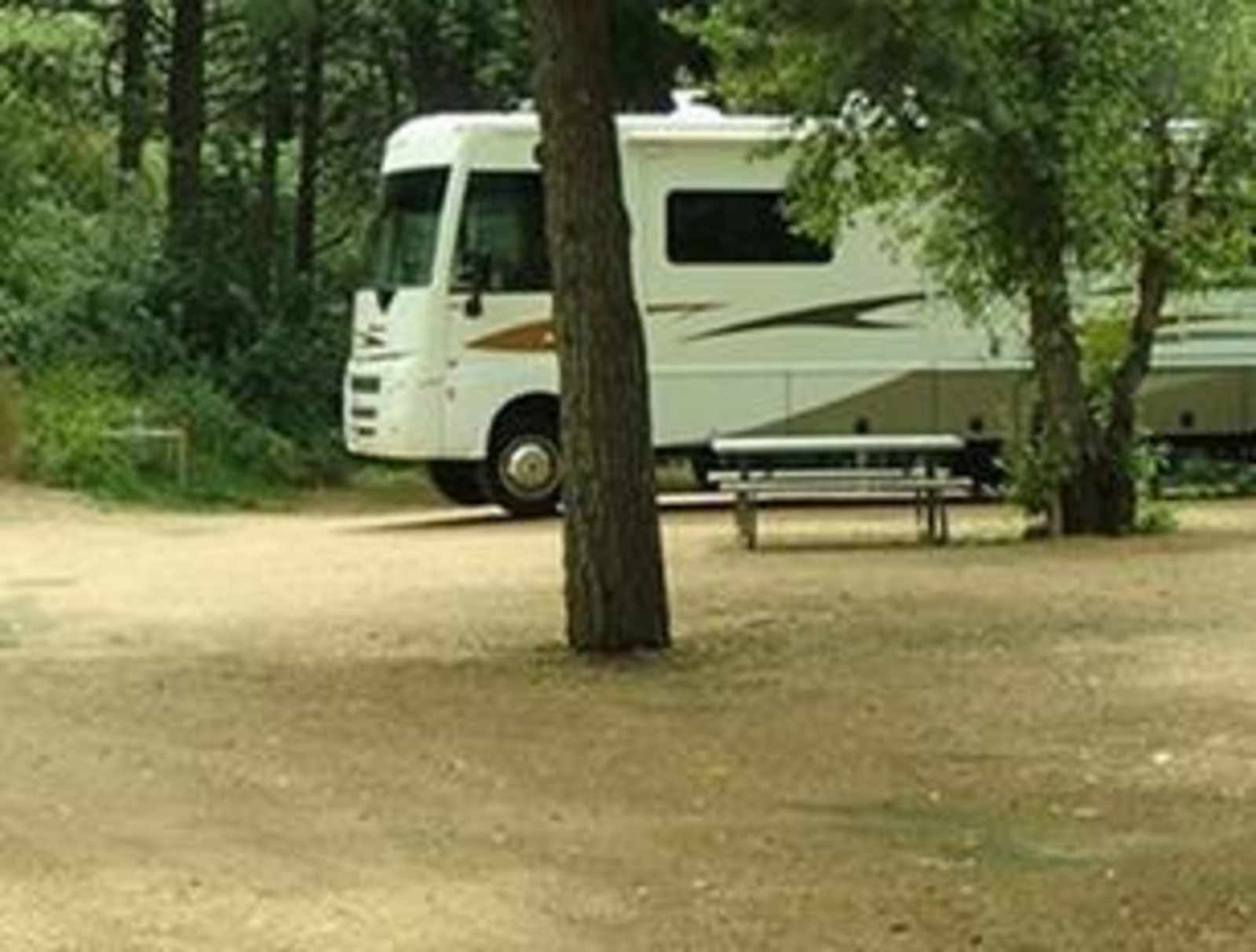 Lone Duck Campground and Cabins - Cascade, Colorado - glamping.directory