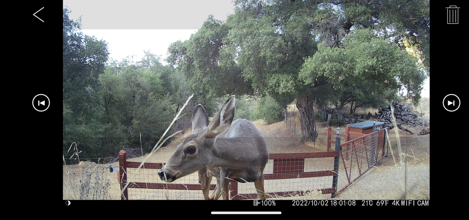 Lake Henshaw hideaway - Santa Ysabel, California - glamping.directory