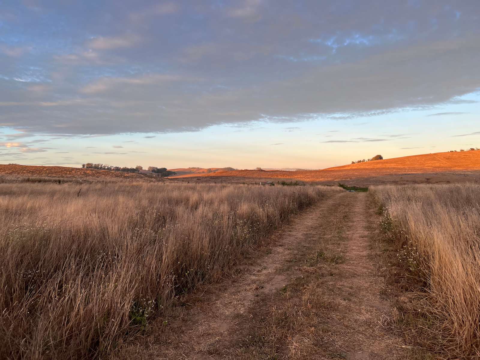 Estero San Antonio Wonderland - Petaluma, California - glamping.directory