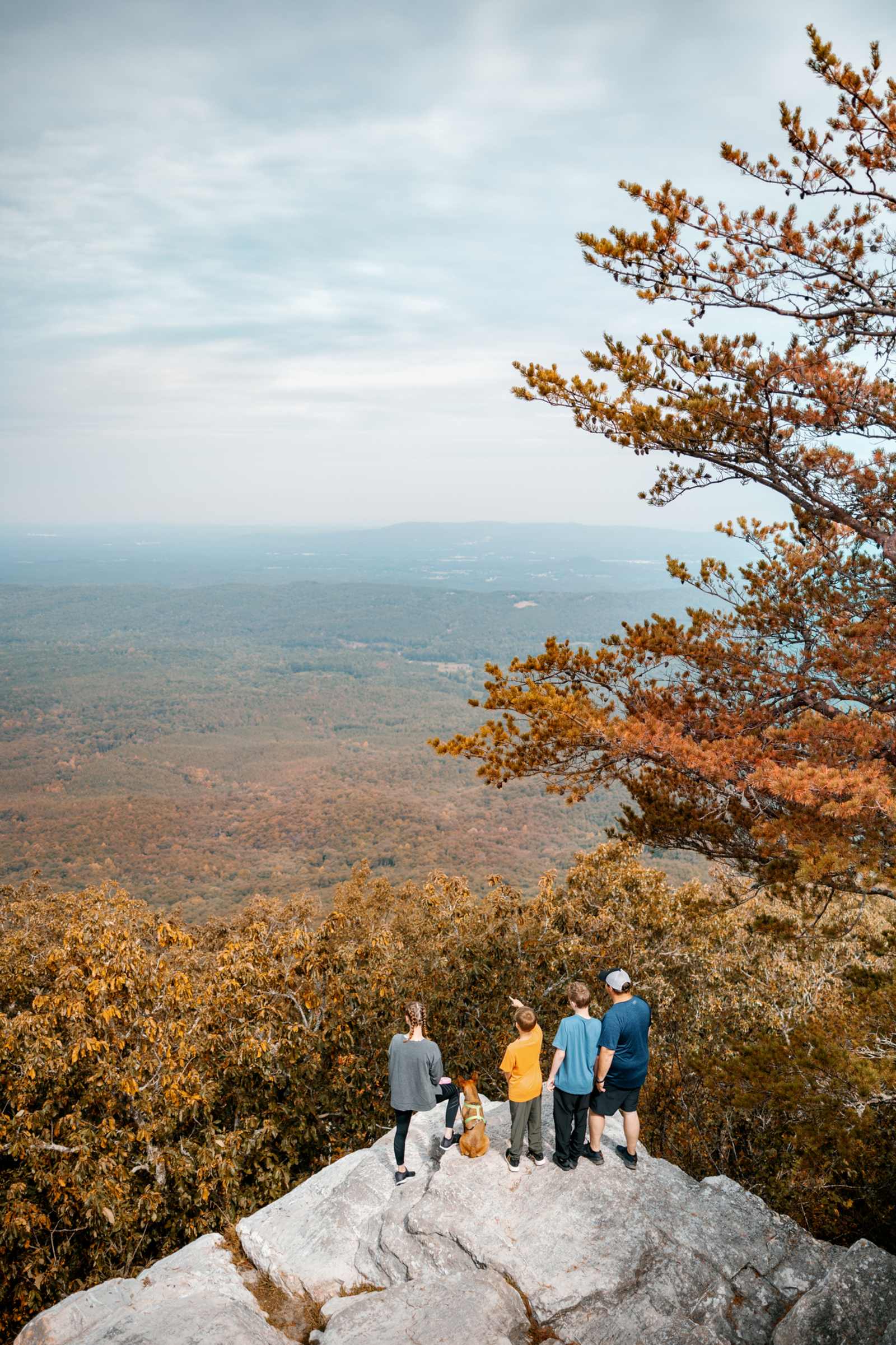Glamping at Cheaha State Park - Delta, Alabama - glamping.directory