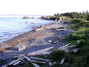 Comfortable Vacation Rental with Amazing Views in Kodiak, Alaska - Kodiak, Alaska - glamping.directory