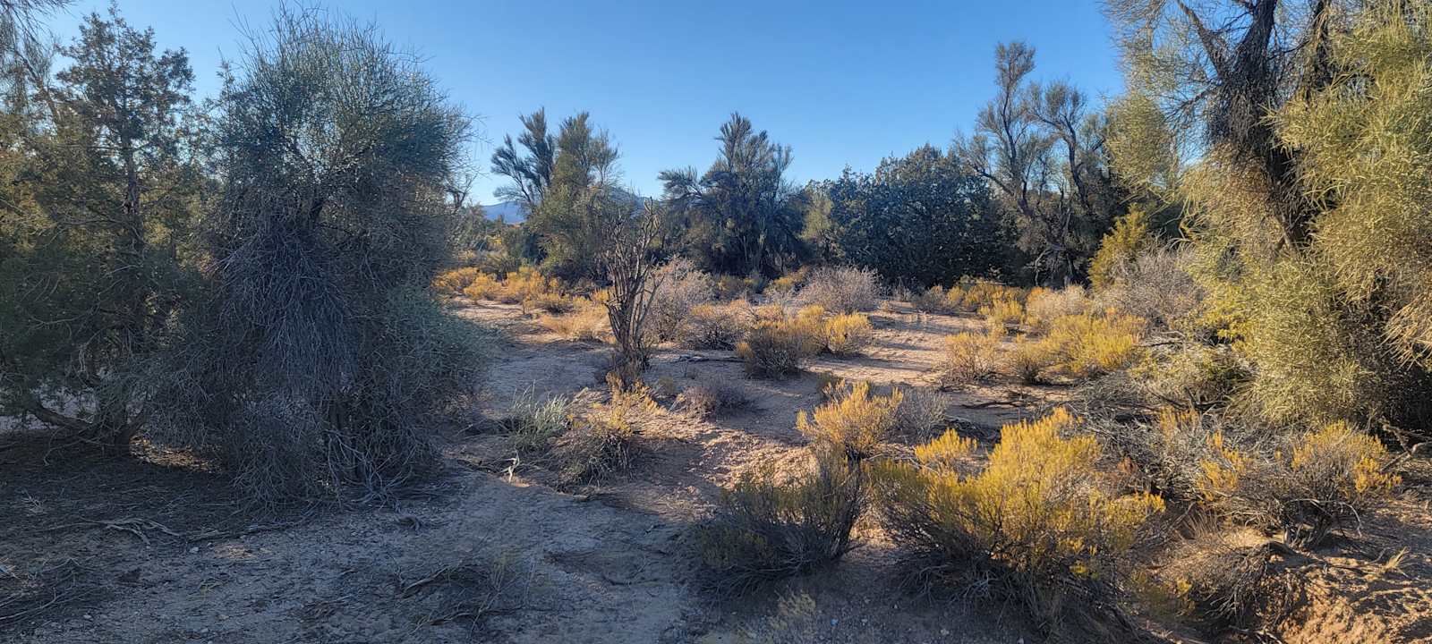 Wanderer's Rest - Kingman, Arizona - glamping.directory
