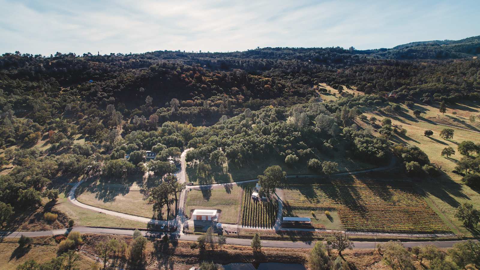 Prospect 772 Winery & Event Center - Angels Camp, California - glamping.directory