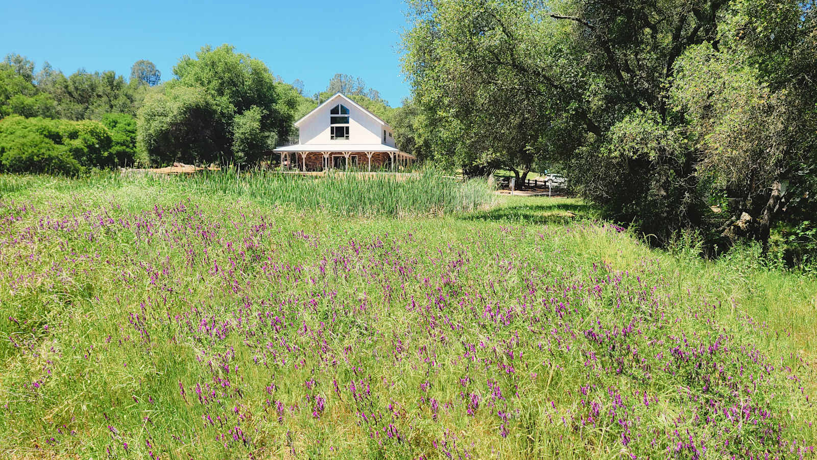 Prospect 772 Winery & Event Center - glamping.directory