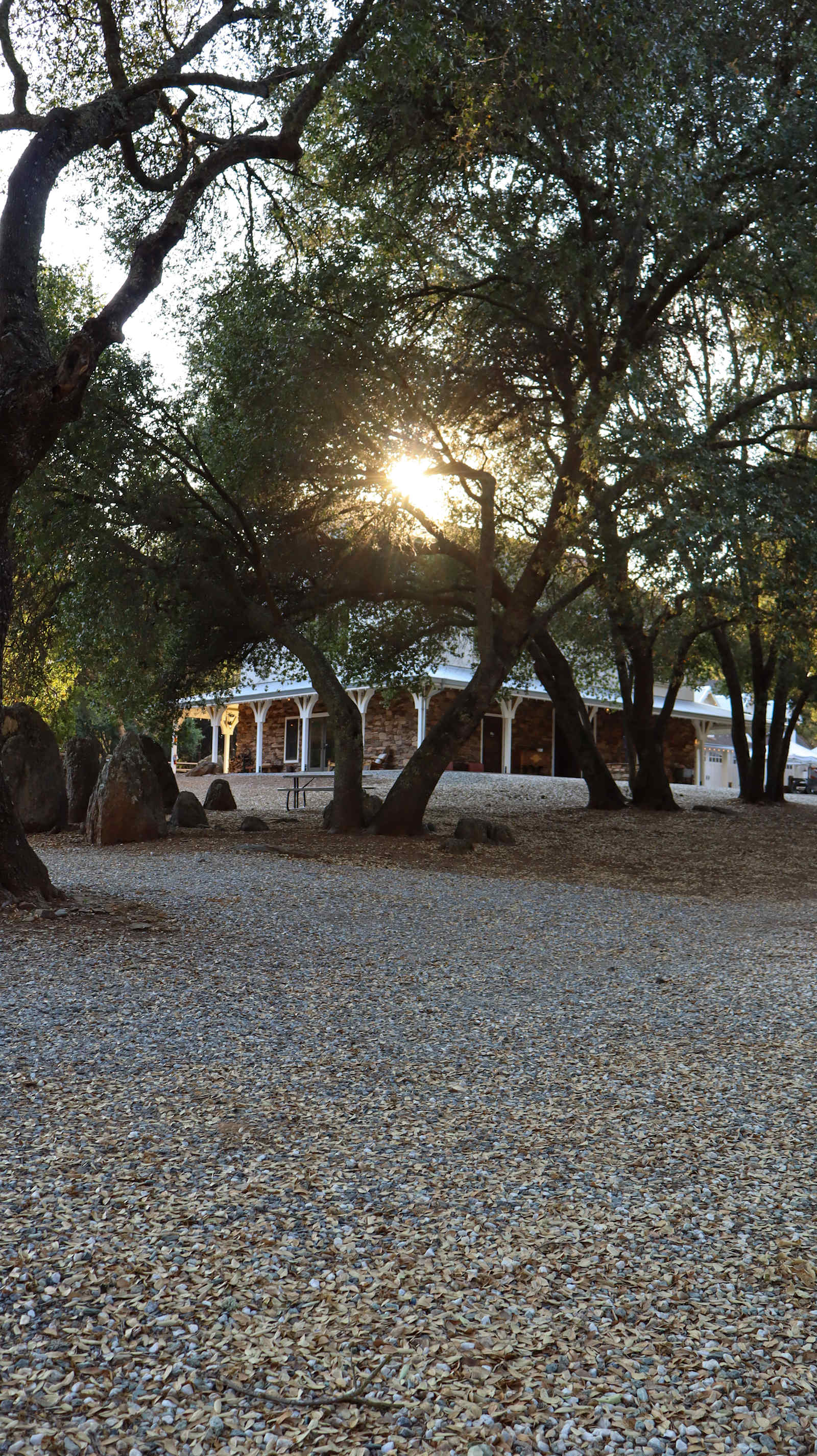 Prospect 772 Winery & Event Center - Angels Camp, California - glamping.directory