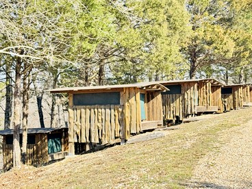 Shady Family Tree Hut Glamping Cabins with Private Door & Mosquito Nets near Big Niangua River, Macks Creek, Missouri - Macks Creek, Missouri - glamping.directory