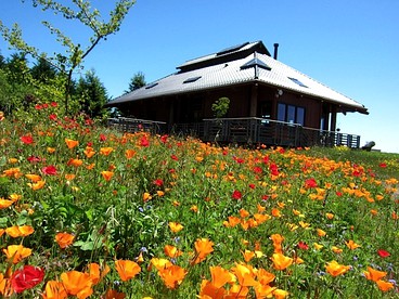 Upscale Japanese-Style Vacation Rental near Wine Country in Sonoma County, California - glamping.directory