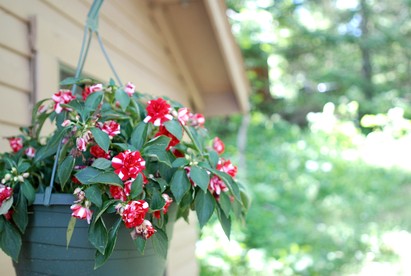 Cozy Cabin Rental with Lake Views in Nevis, Minnesota - Nevis, Minnesota - glamping.directory