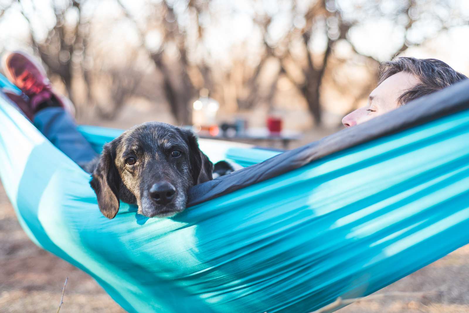 The Otterlimits - Camp Verde, Arizona - glamping.directory