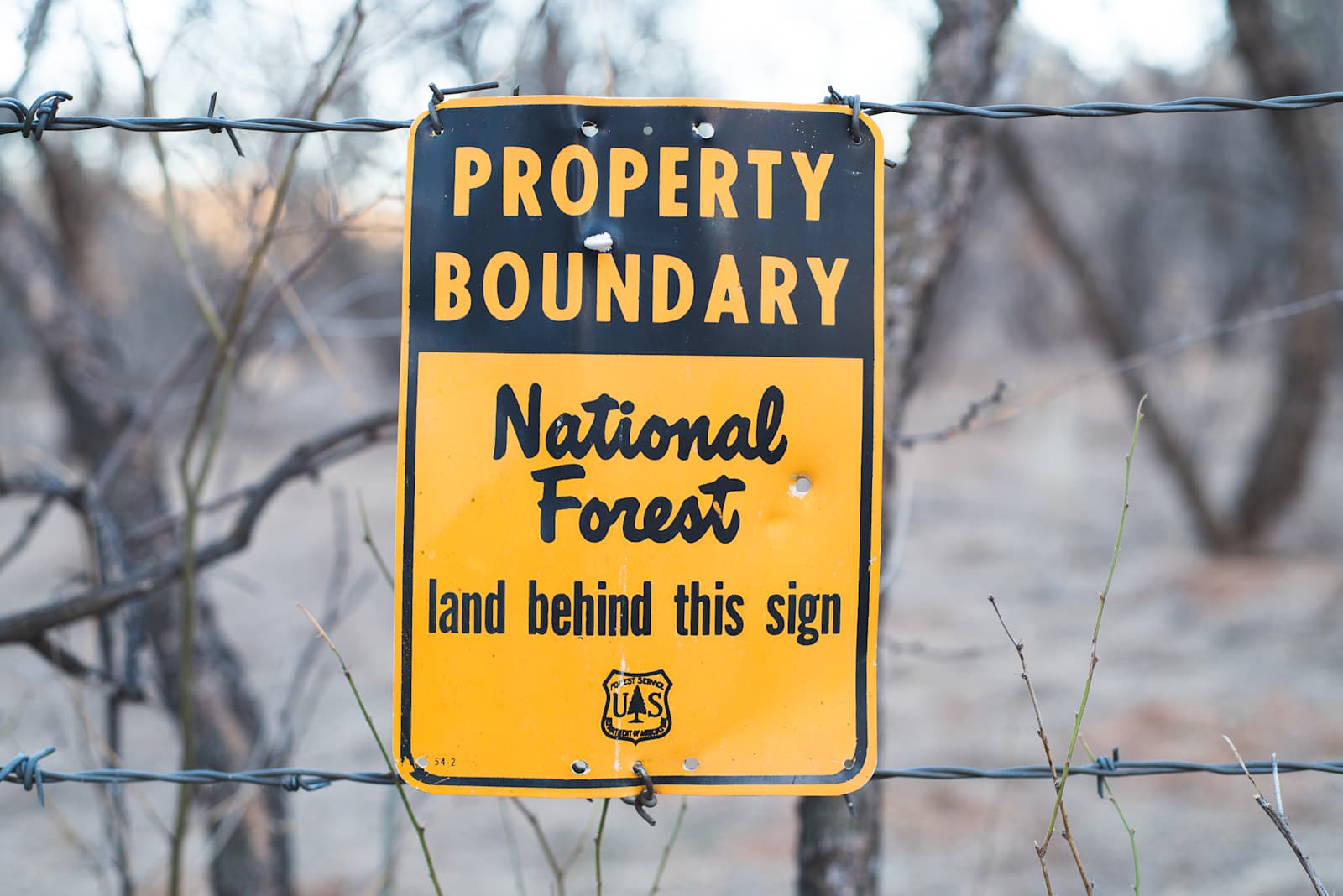 The Otterlimits - Camp Verde, Arizona - glamping.directory