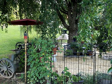 Charming Pet-Friendly Vacation Rental at a Lovely Bed and Breakfast near Hillsville, Virginia - glamping.directory