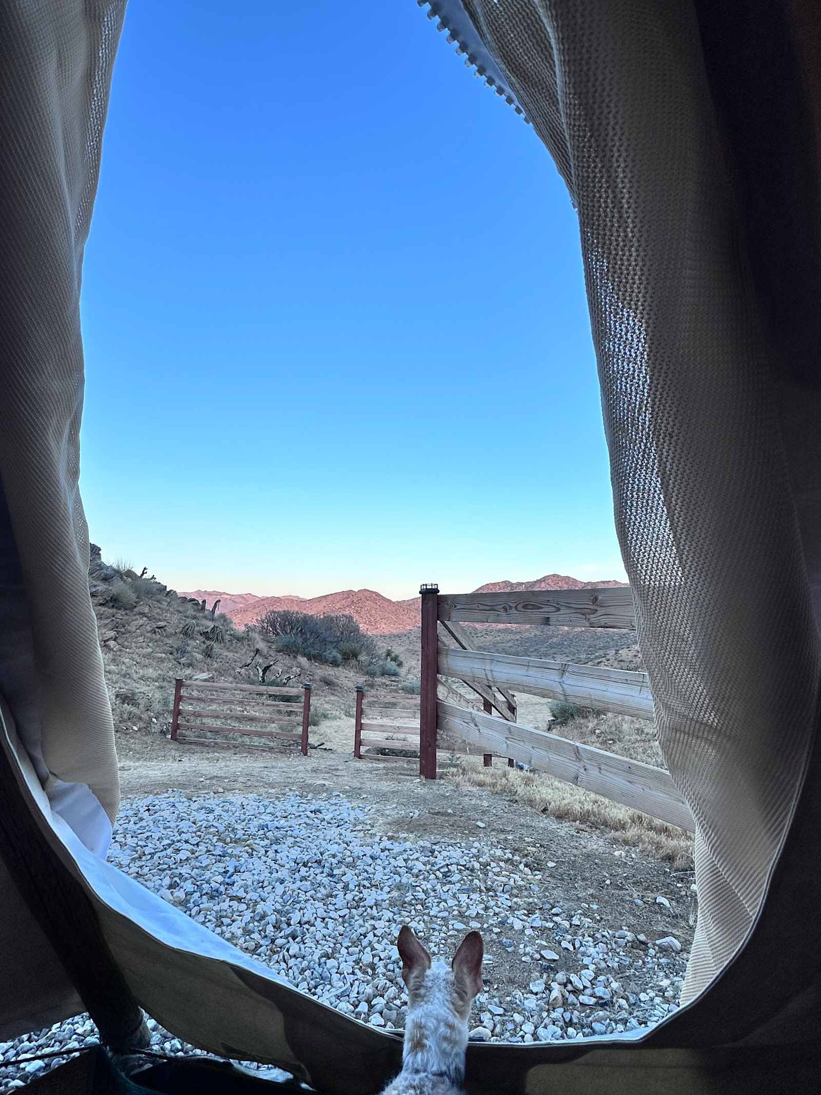 Tipi Canyon, Joshua Tree Nat’l Park - California - glamping.directory