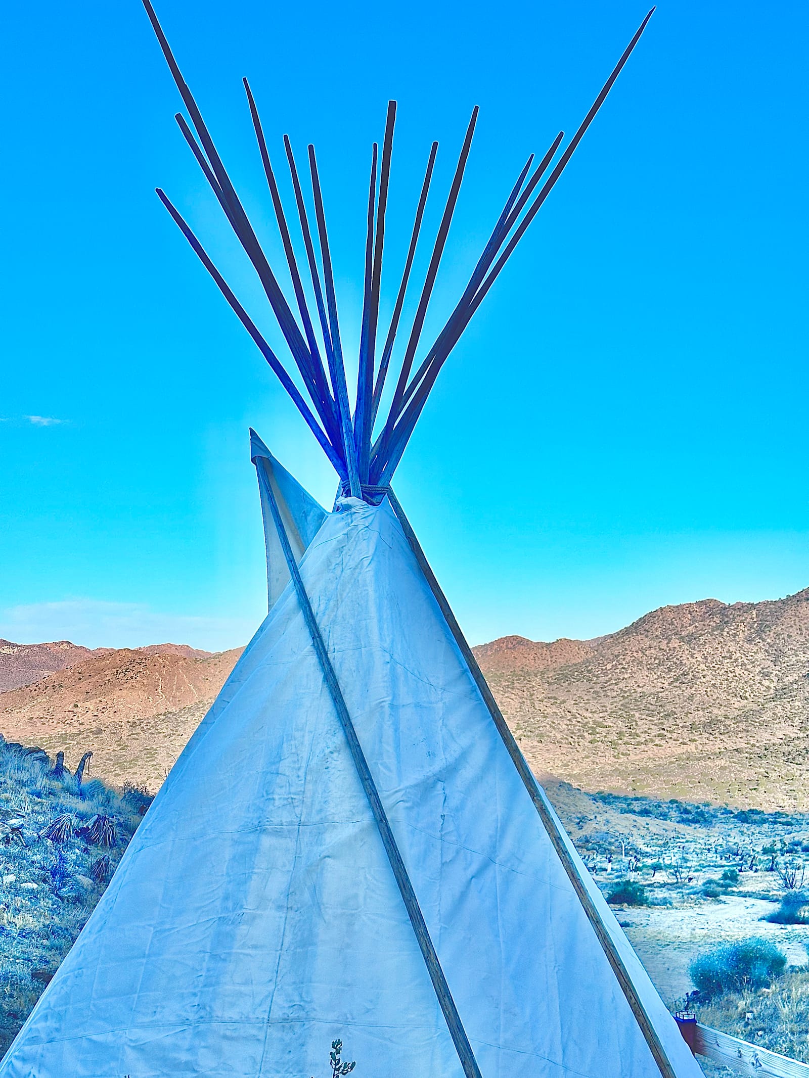 Tipi Canyon, Joshua Tree Nat’l Park - California - glamping.directory