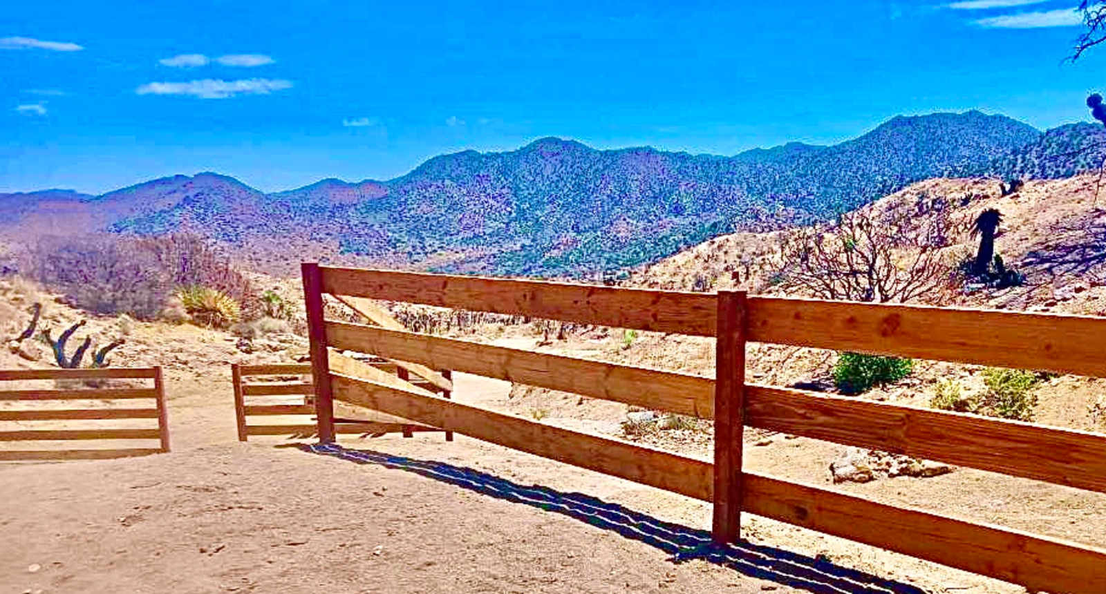 Tipi Canyon, Joshua Tree Nat’l Park - California - glamping.directory