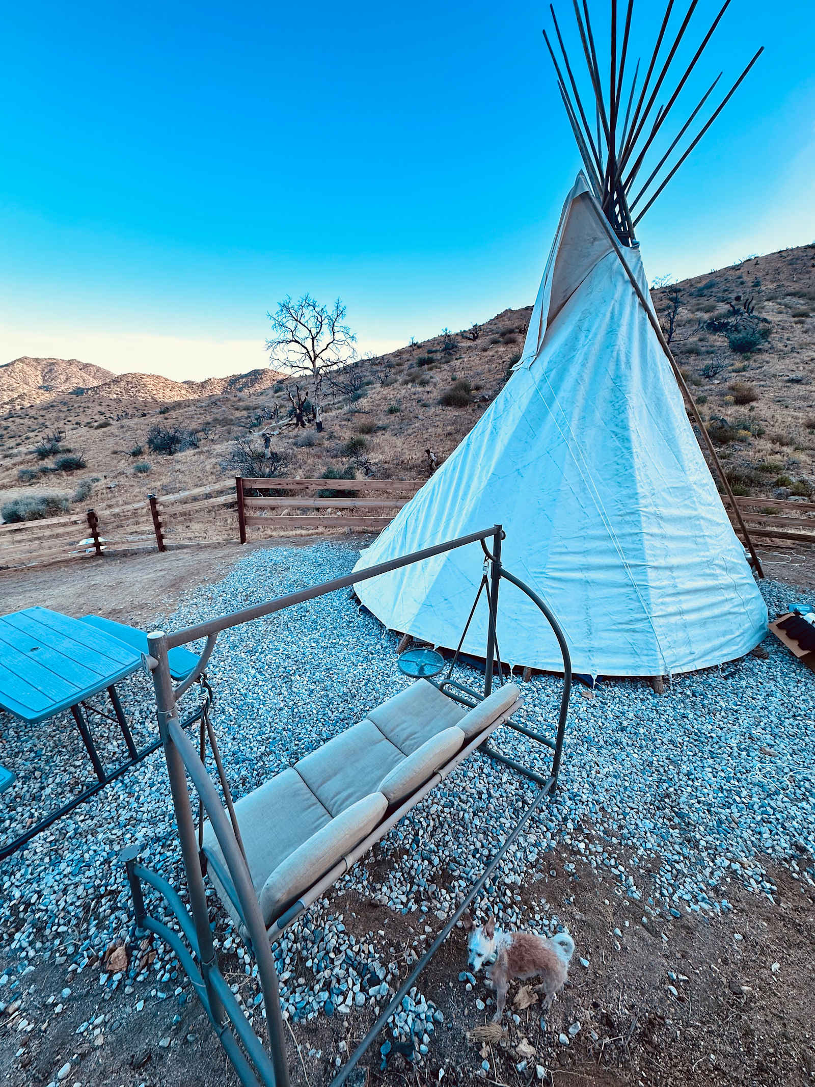 Tipi Canyon, Joshua Tree Nat’l Park - California - glamping.directory