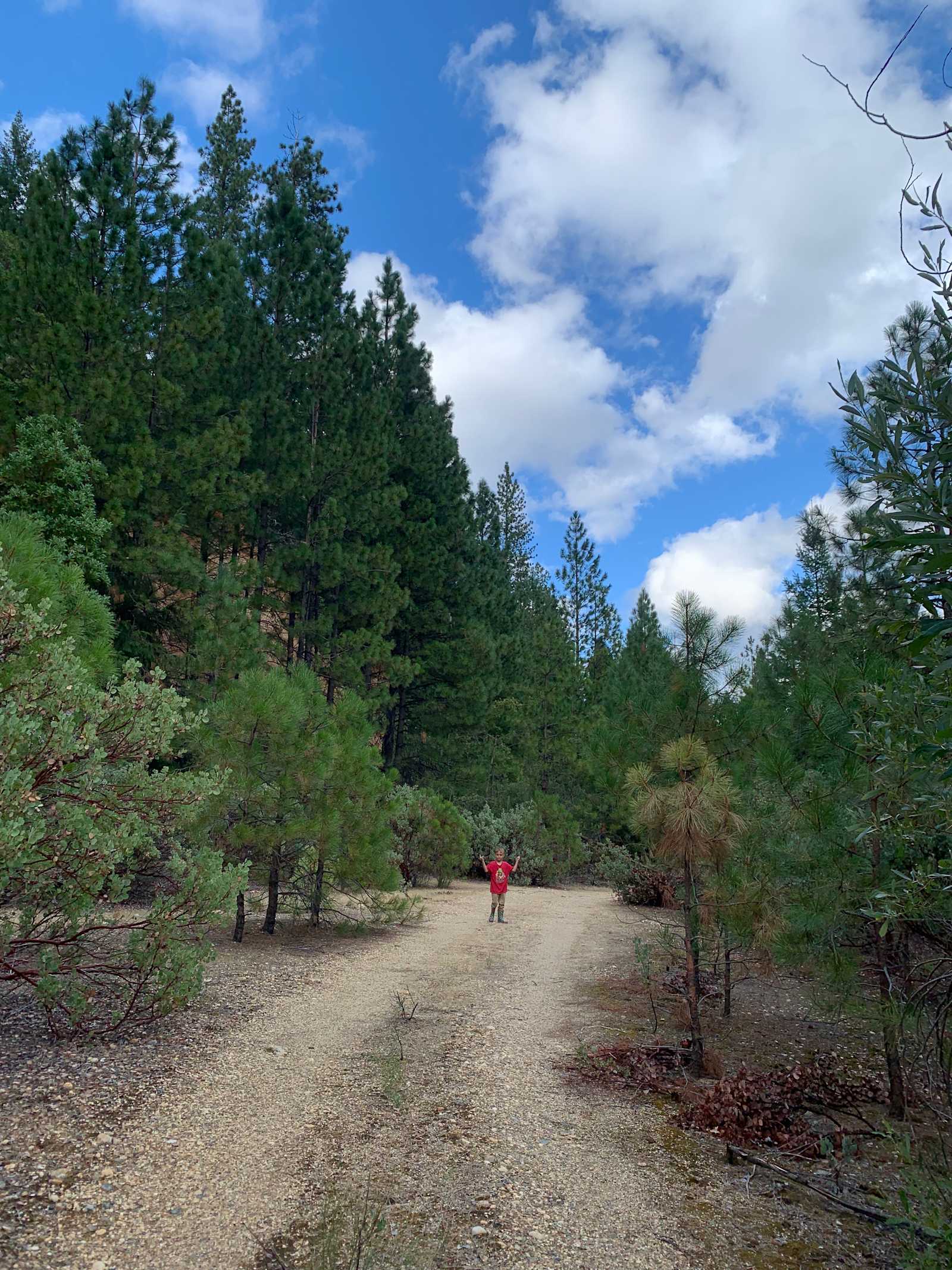 Gold Country Camping - Camptonville, California - glamping.directory