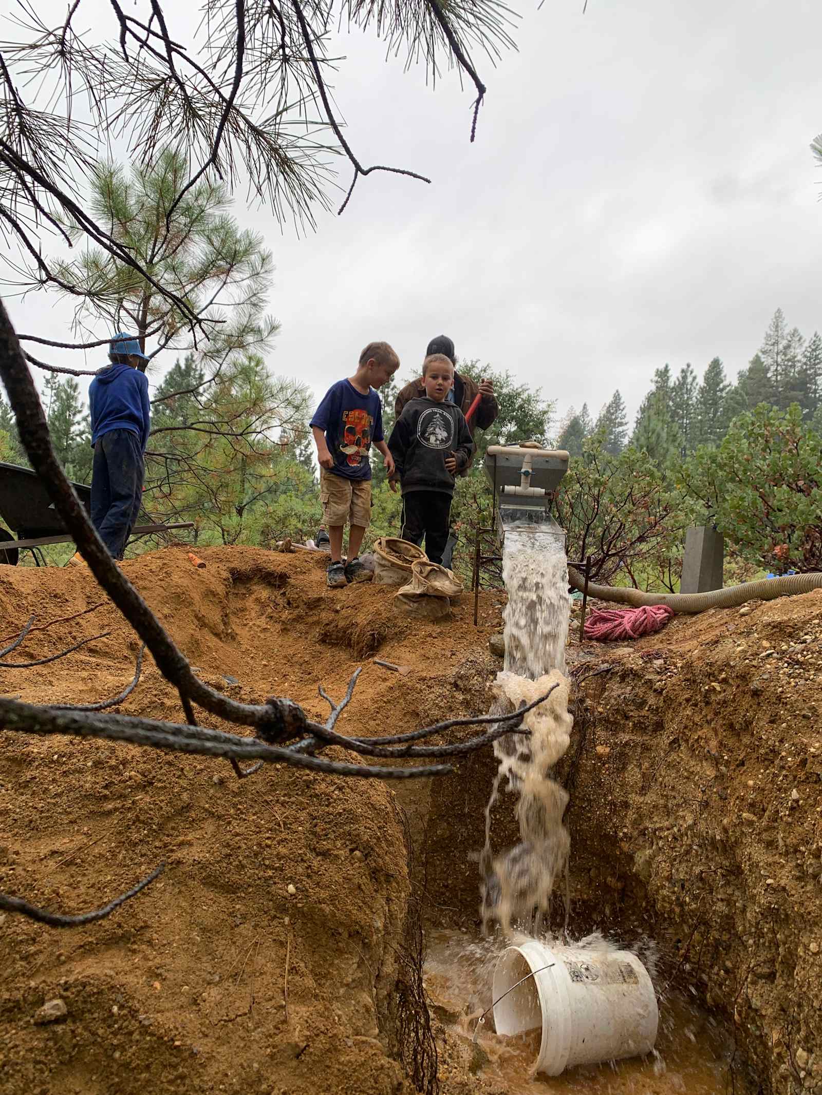 Gold Country Camping - Camptonville, California - glamping.directory