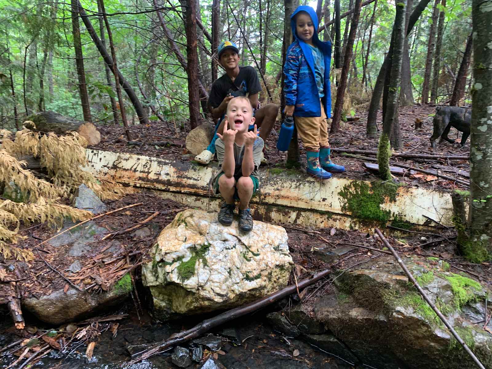Gold Country Camping - Camptonville, California - glamping.directory