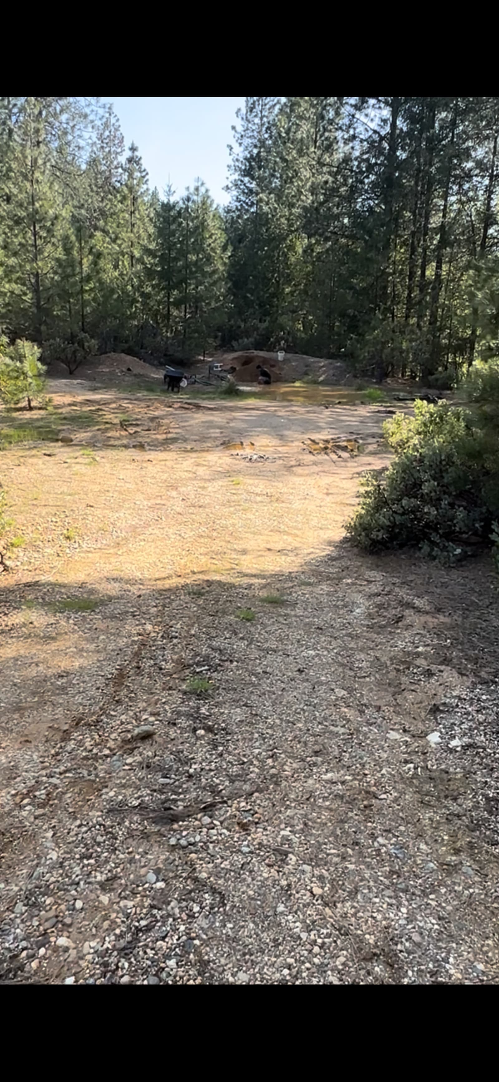 Gold Country Camping - glamping.directory