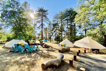 Wilderness Reunion: Original Pet-Friendly Glamping for Large Groups in Mt. Laguna - Mount Laguna, California - glamping.directory