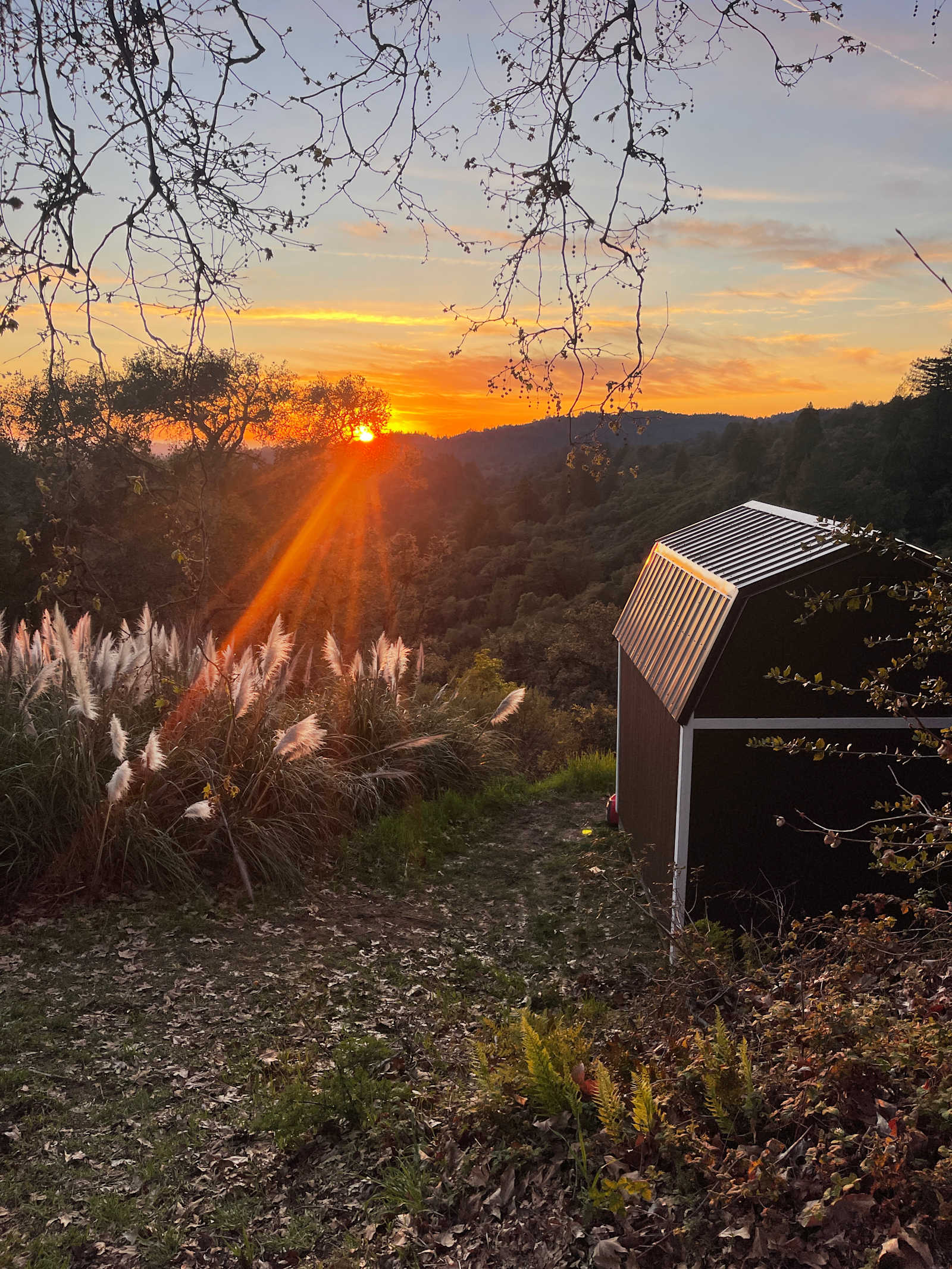 Sacred Owl Land - Watsonville, California - glamping.directory