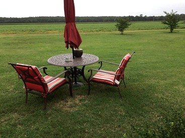 Serene Tiny House with a Big Charm for Glamping in Virginia - Accomac, Virginia - glamping.directory