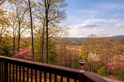 Incredible Mountain Cabin for a Memorable Family Getaway in Nature near Blairsville, Georgia - glamping.directory