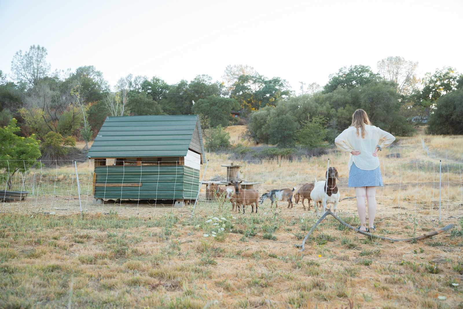 Solstice Farms - Loomis, California - glamping.directory