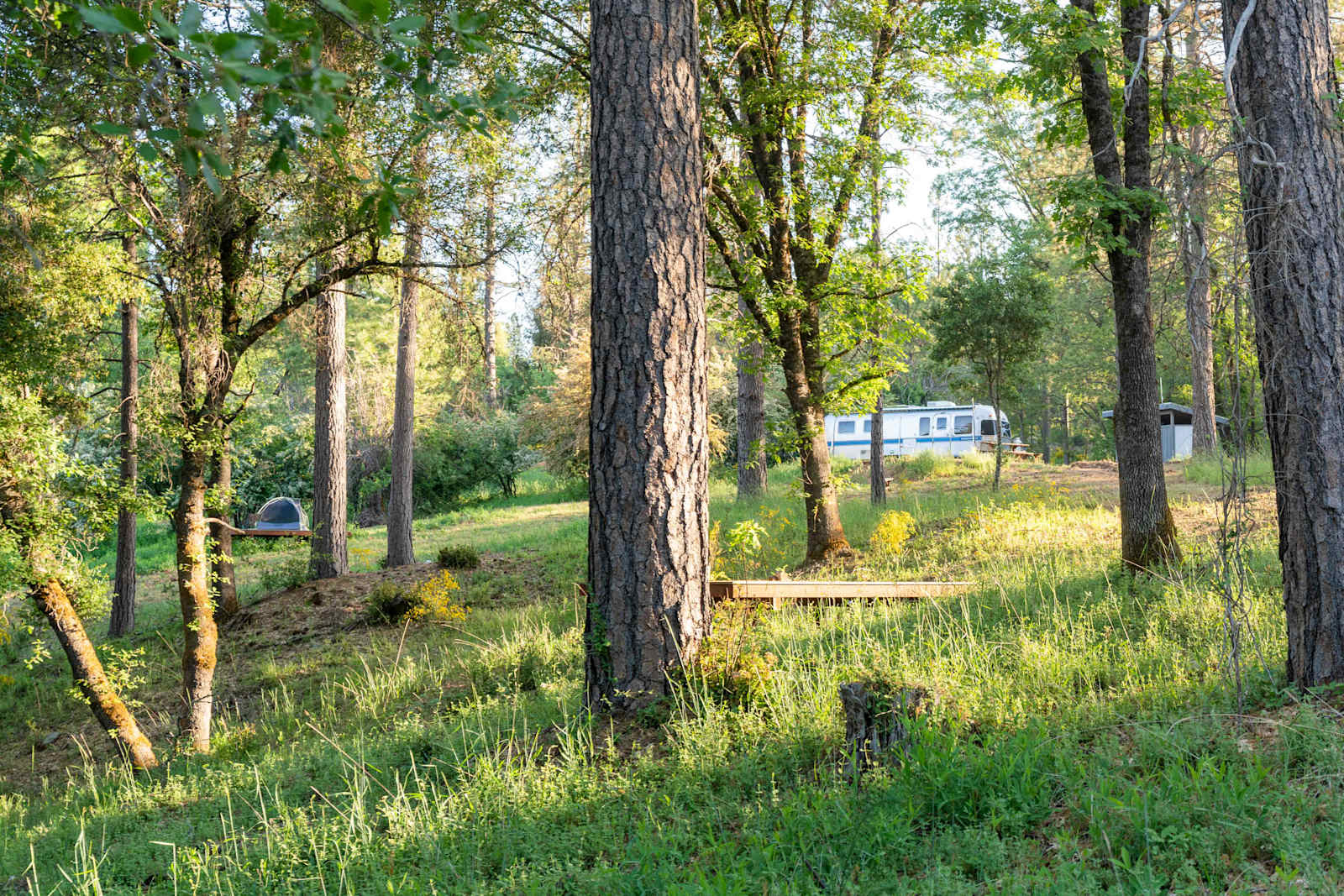Sierra Waters Homestead - Nevada City, California - glamping.directory