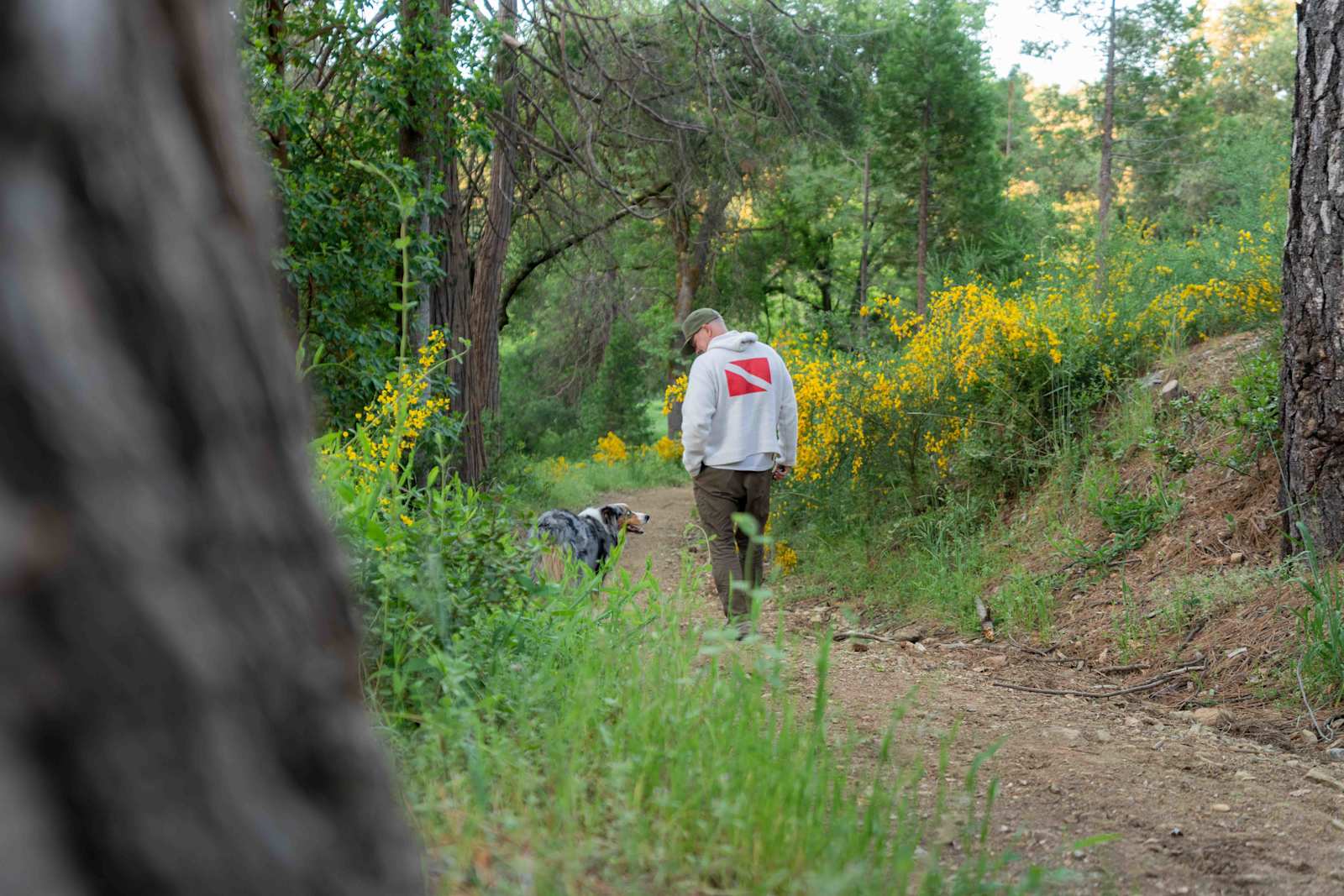 Sierra Waters Homestead - Nevada City, California - glamping.directory
