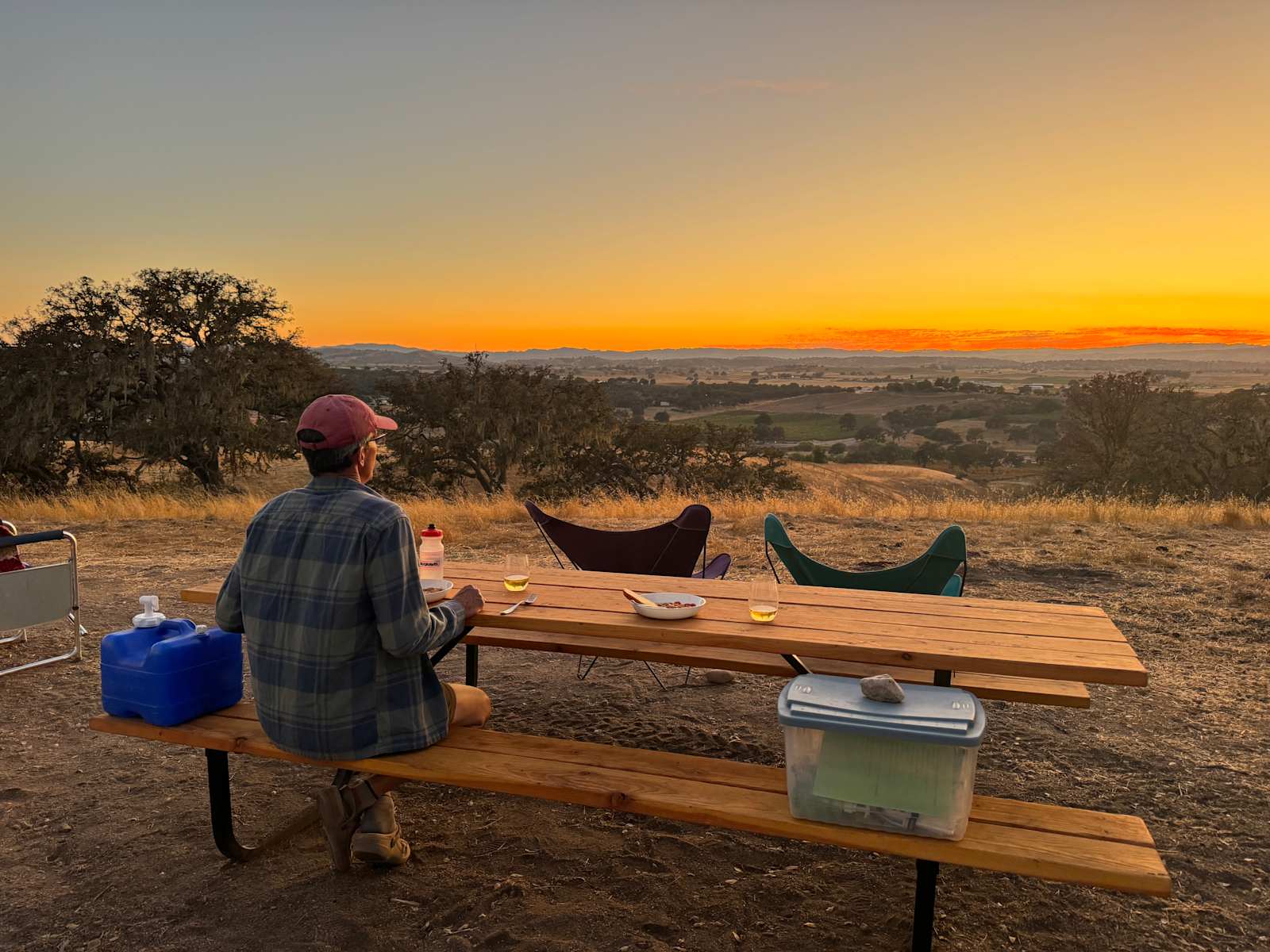 Twisted Branch - glamping.directory
