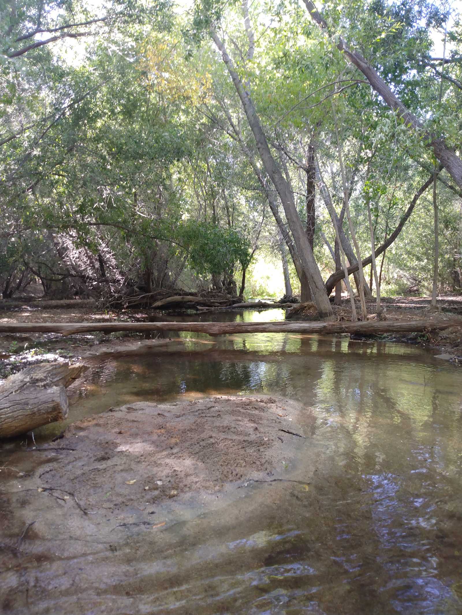 Silver Spur Ranch - Weldon, California - glamping.directory