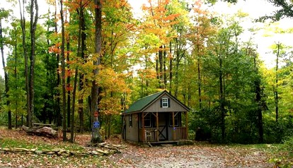 Secluded Rustic Cabins Nestled in a Lush Forest in West Virginia - Mount Storm, West Virginia - glamping.directory