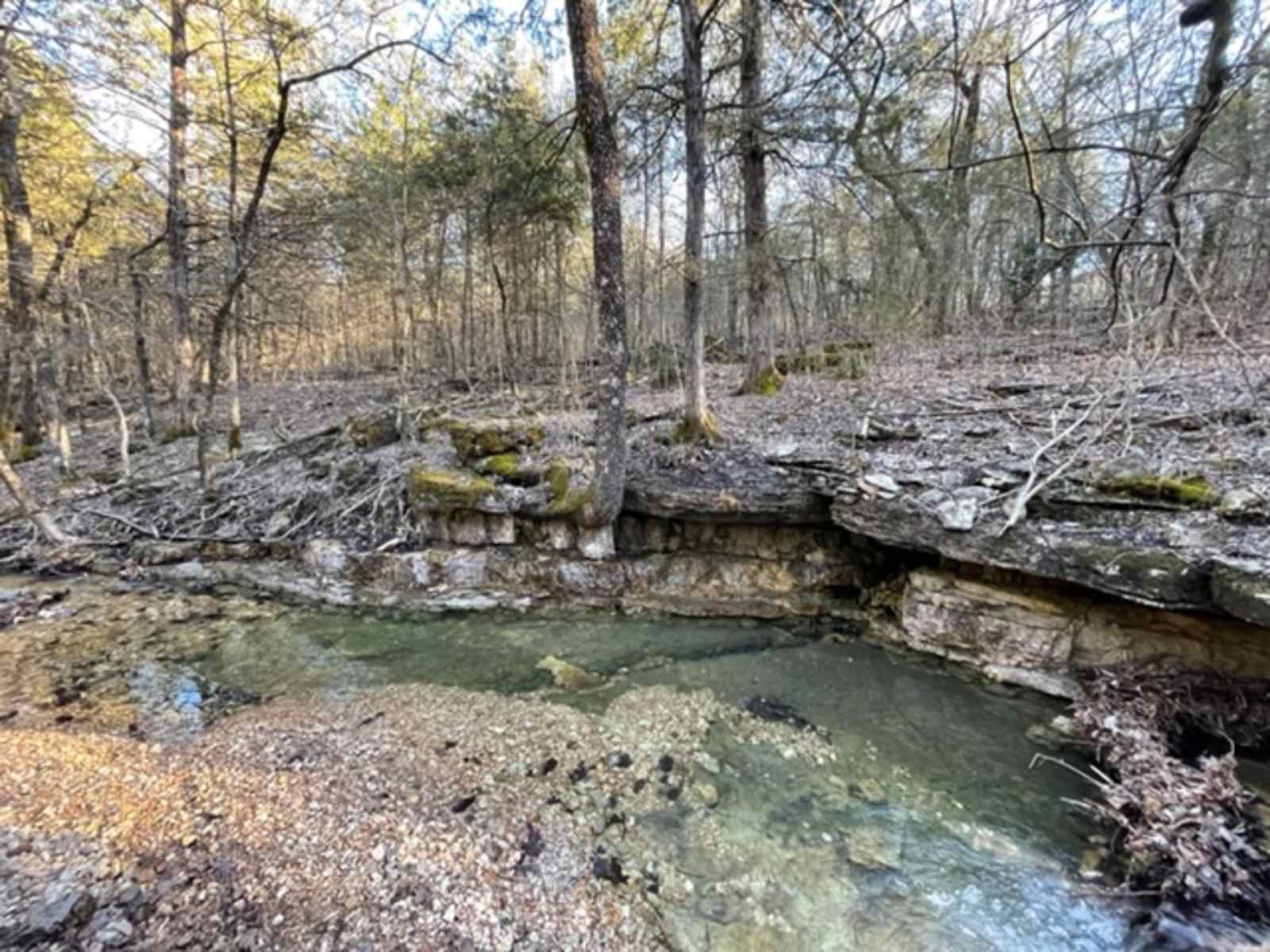 Cold Creek Valley - Eureka Springs, Arkansas - glamping.directory
