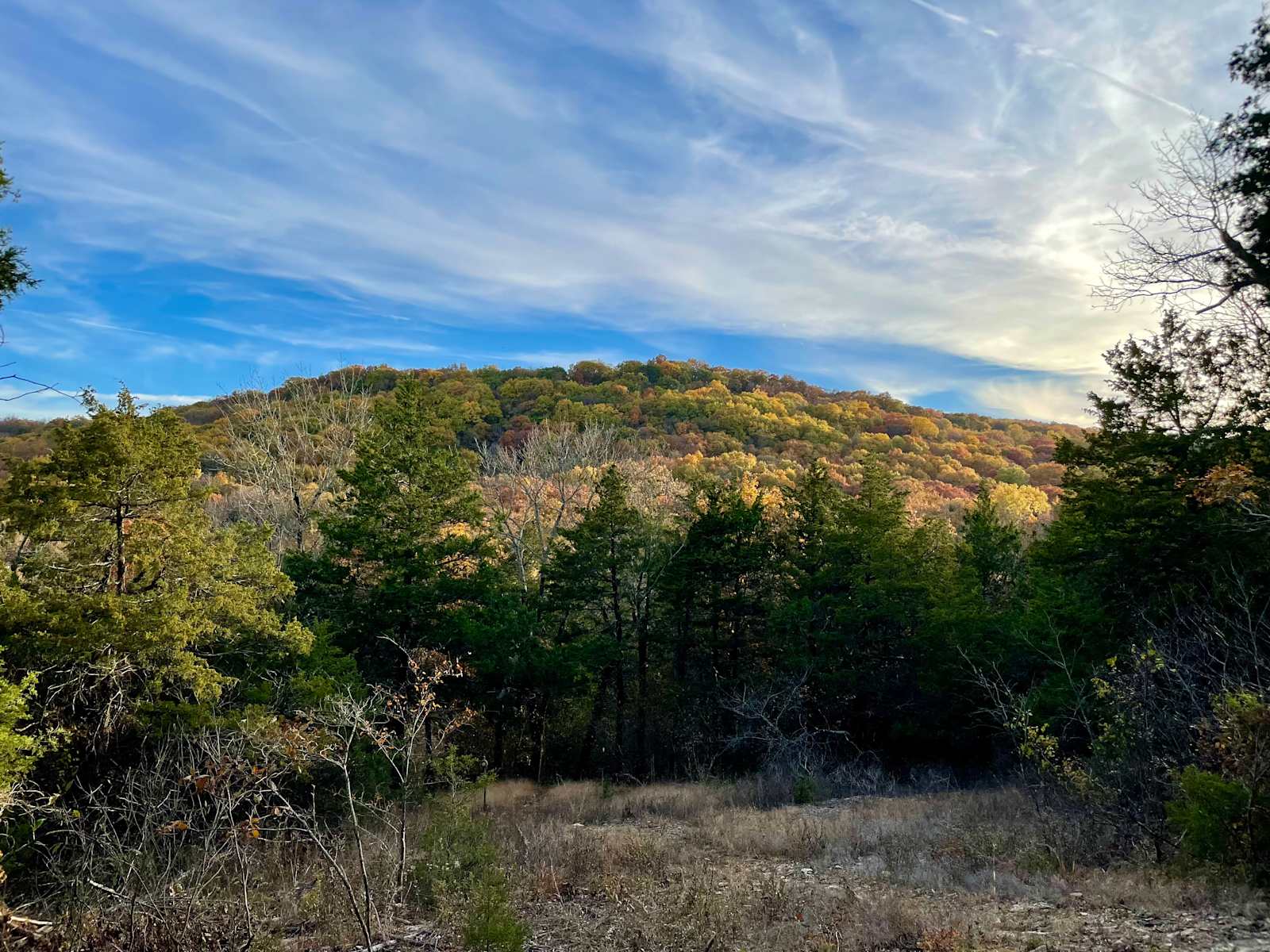 Cold Creek Valley - Eureka Springs, Arkansas - glamping.directory
