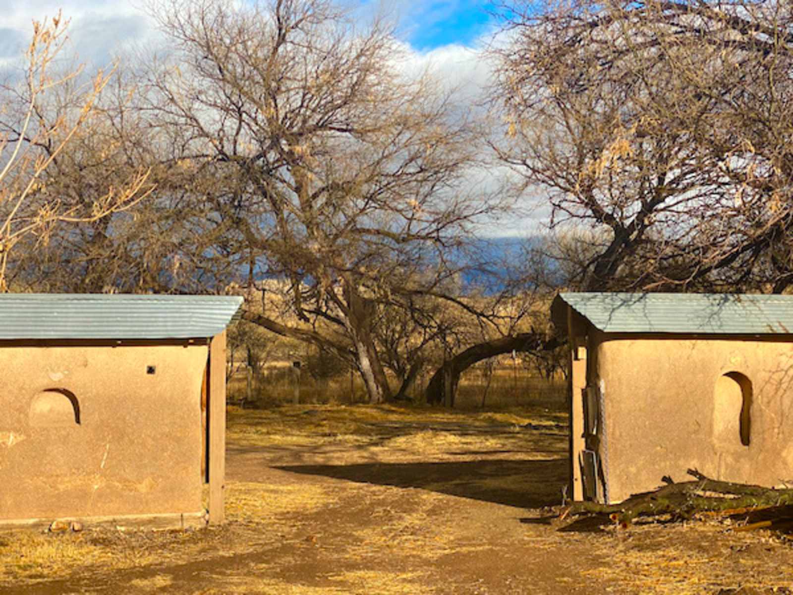 TerraSol in Patagonia, Arizona - Patagonia, Arizona - glamping.directory
