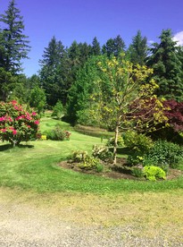 Private Yurt is the Perfect Place for a Washington Getaway - Seabeck, Washington - glamping.directory
