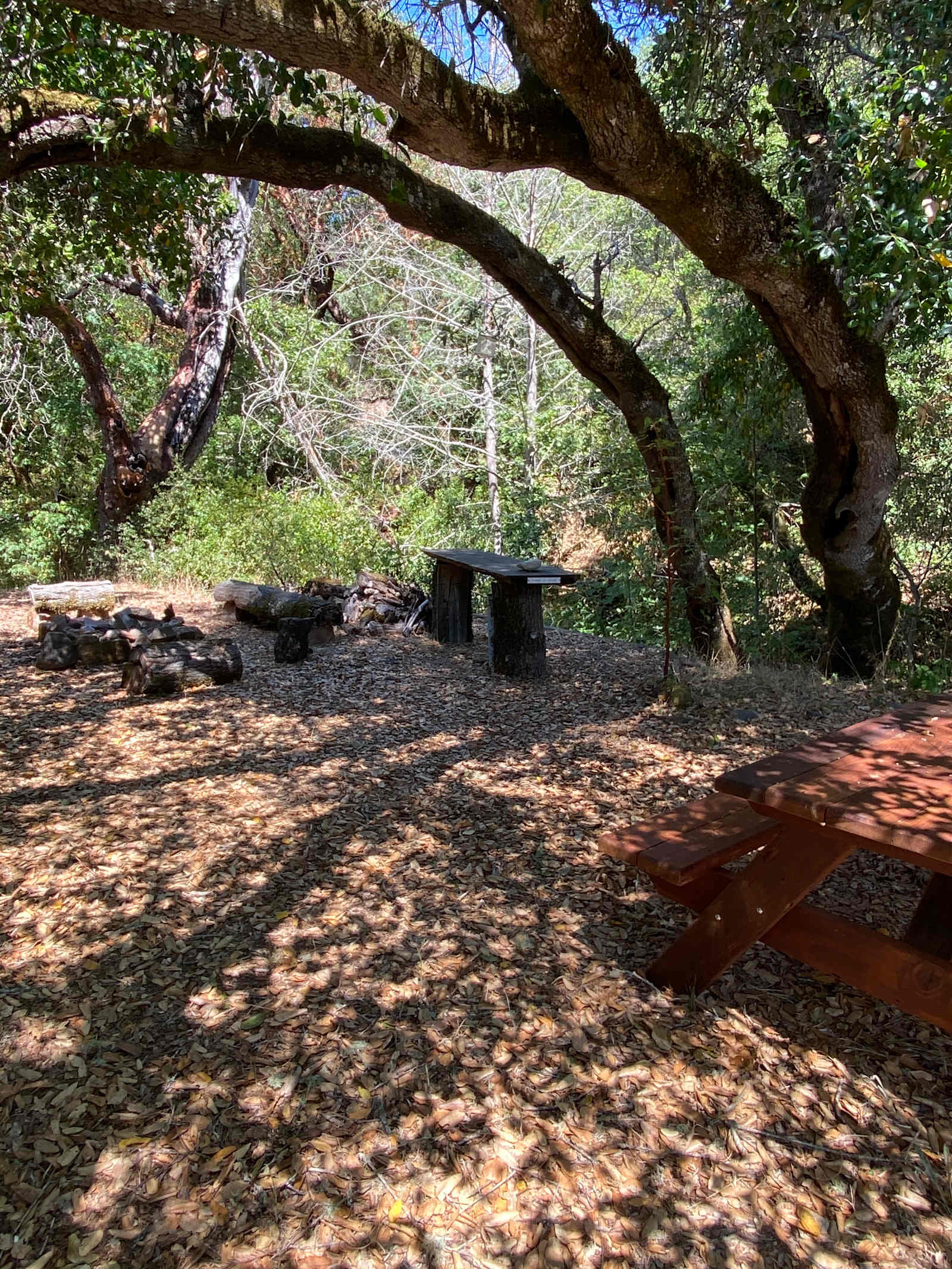 Poleeko's Best Kept Secret - Philo, California - glamping.directory