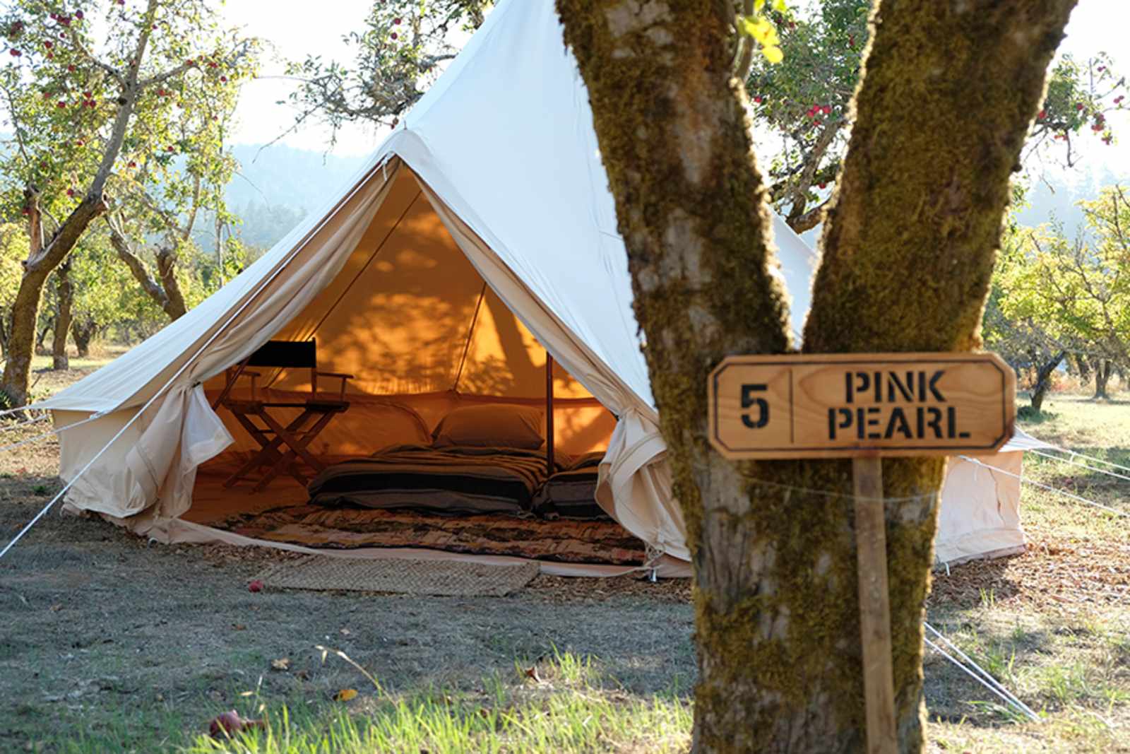 Poleeko's Best Kept Secret - Philo, California - glamping.directory