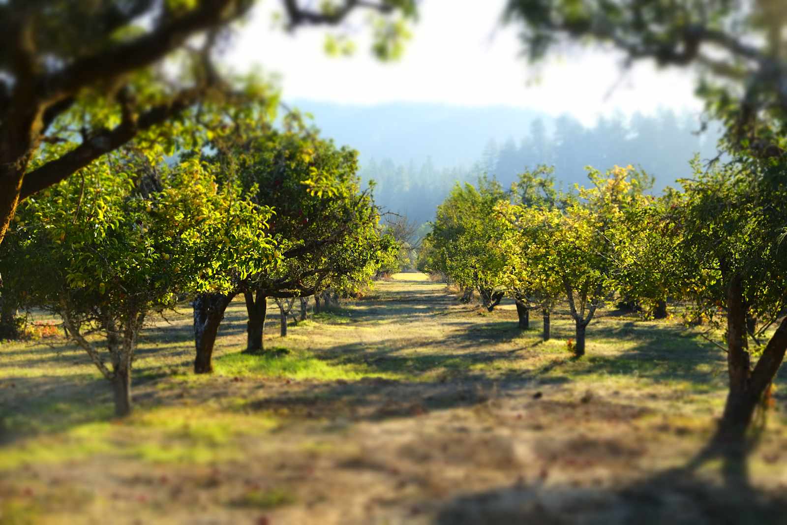 Poleeko's Best Kept Secret - glamping.directory