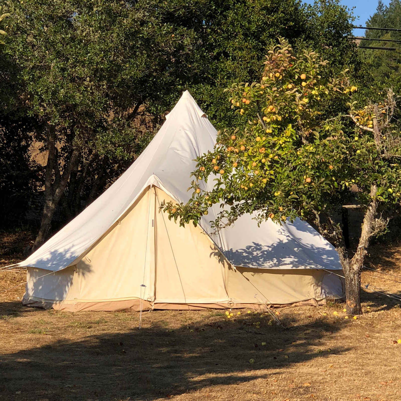 Poleeko's Best Kept Secret - Philo, California - glamping.directory