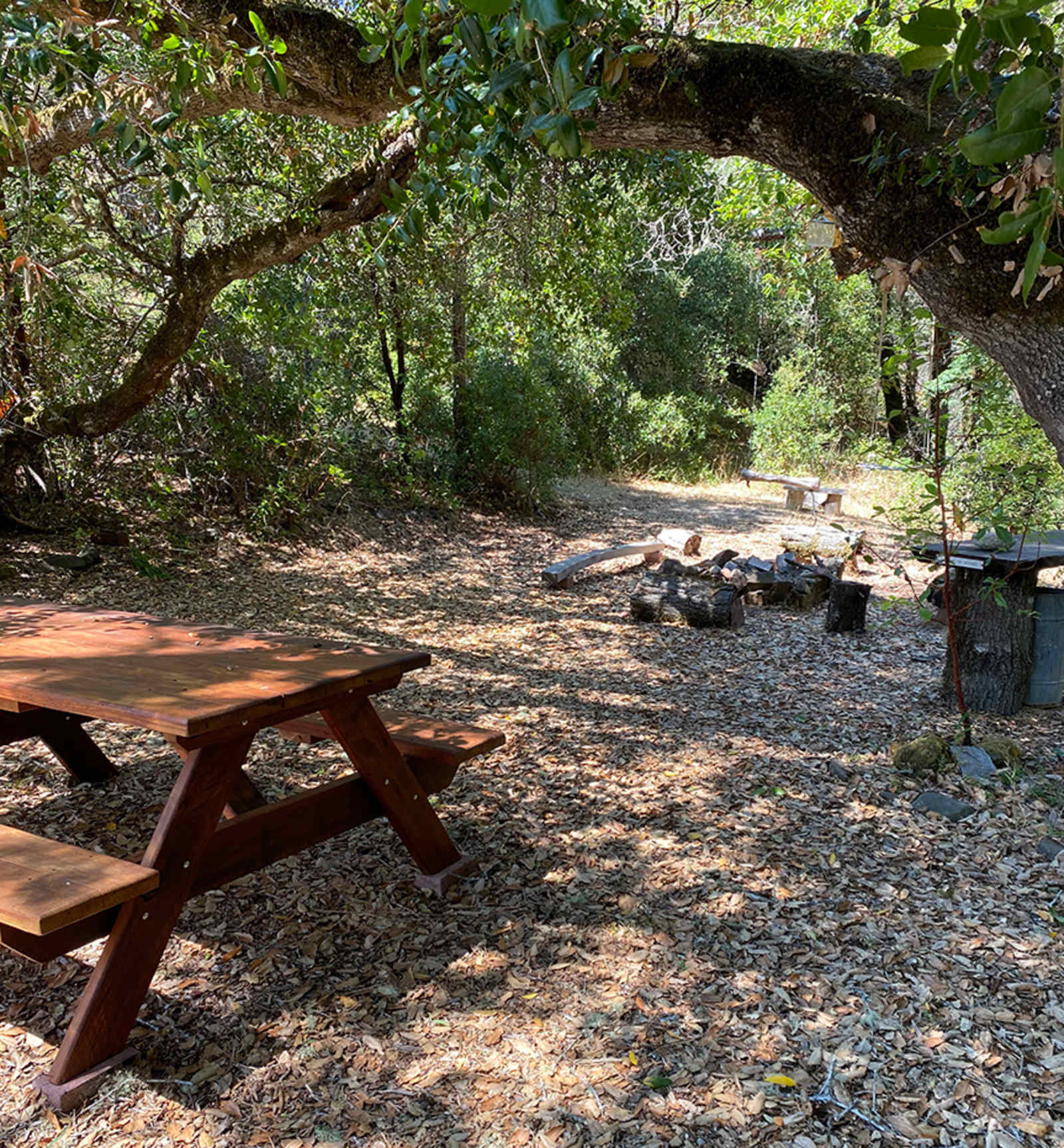 Poleeko's Best Kept Secret - Philo, California - glamping.directory