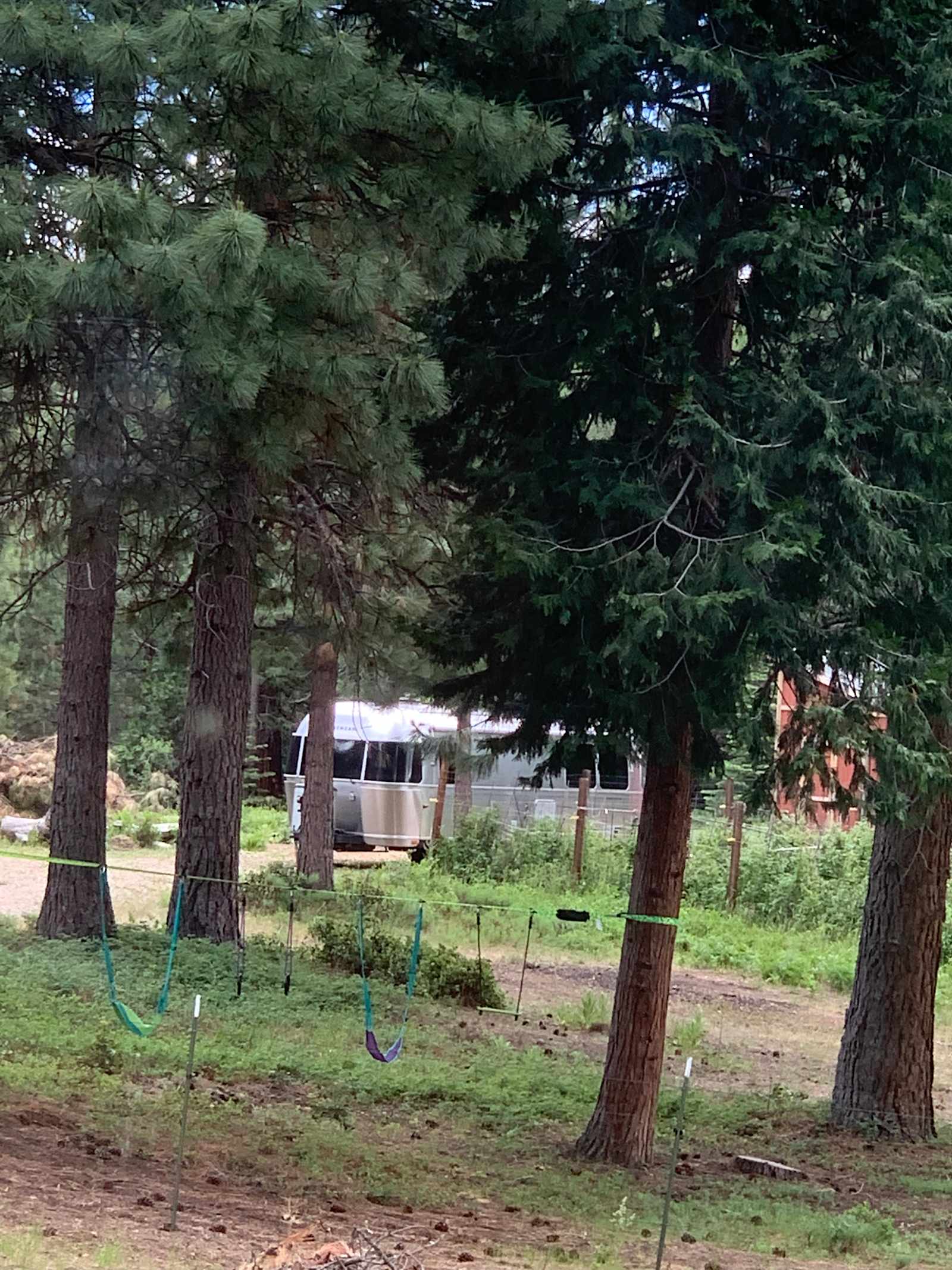 Roca Ranch Camp - Weed, California - glamping.directory