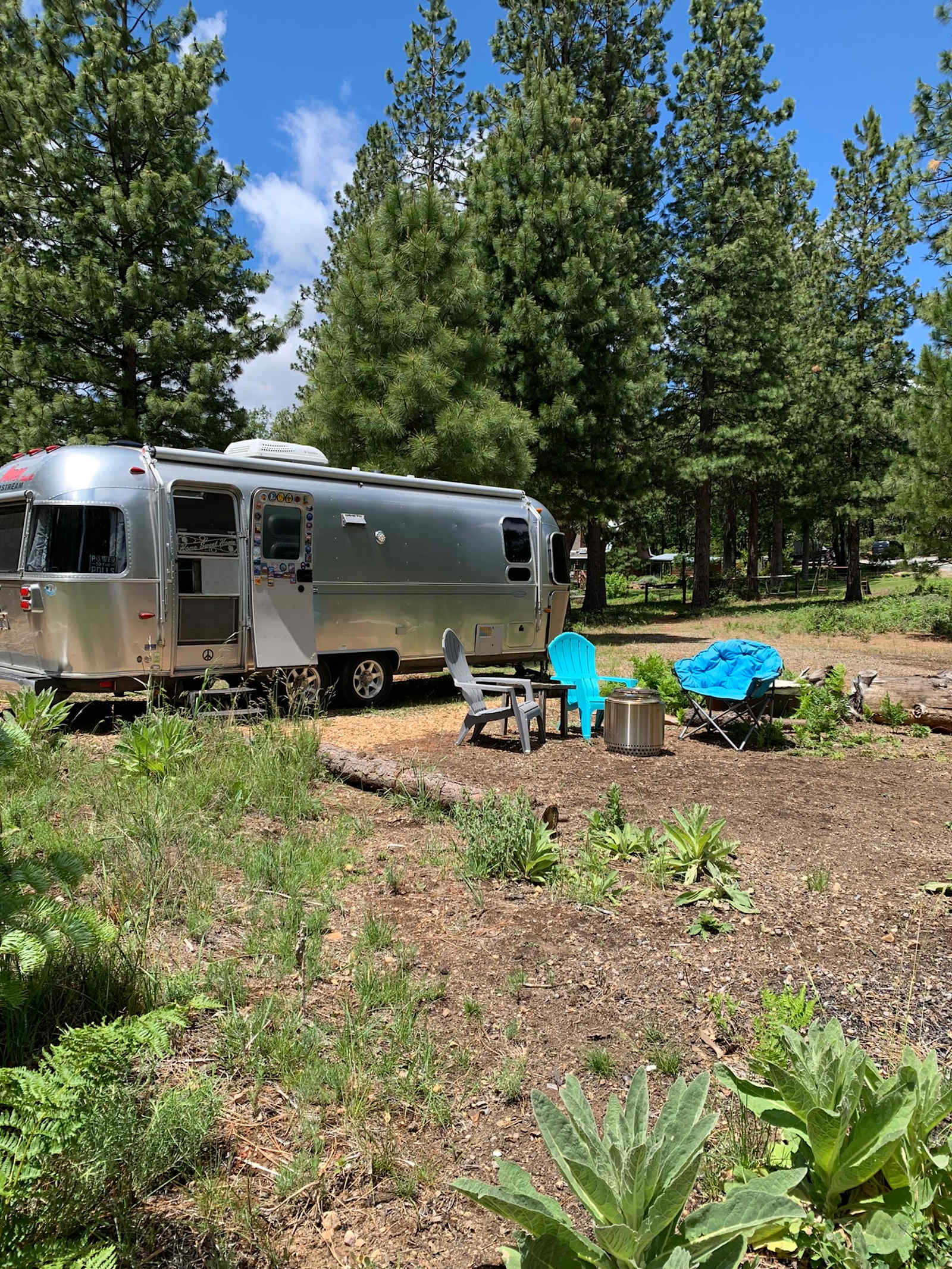 Roca Ranch Camp - Weed, California - glamping.directory