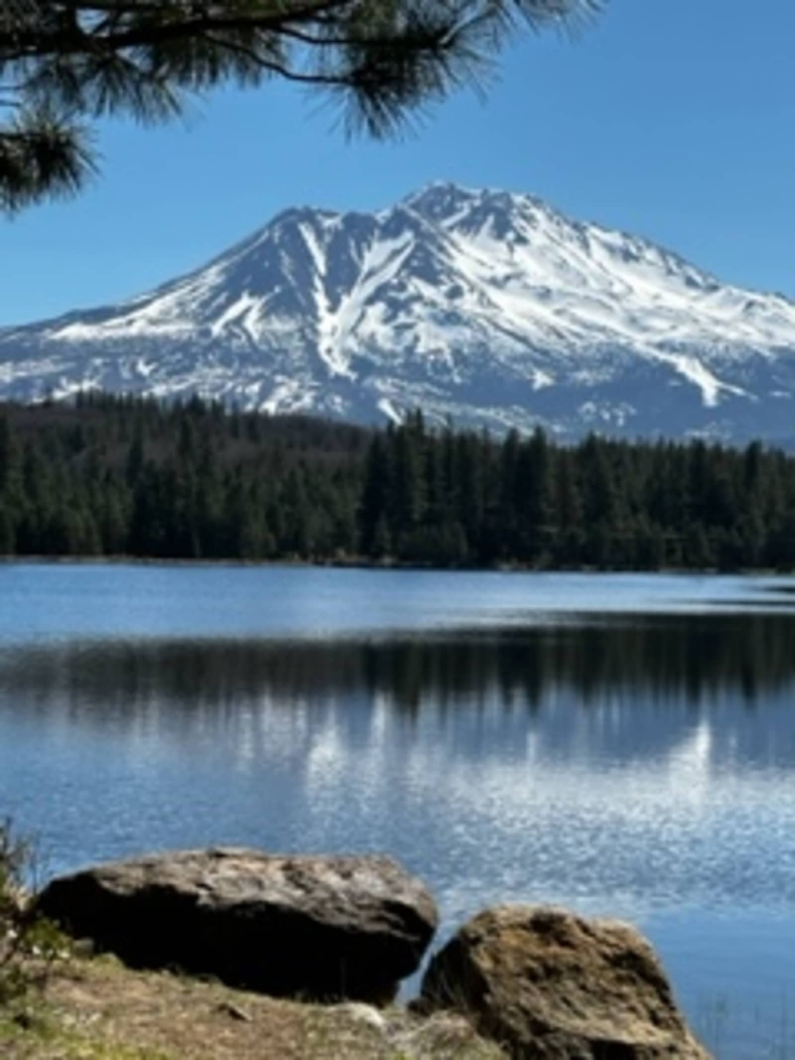 Roca Ranch Camp - Weed, California - glamping.directory