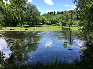 Picturesque Cabin Retreat with Private Sauna near New Richmond, Wisconsin - New Richmond, Wisconsin - glamping.directory