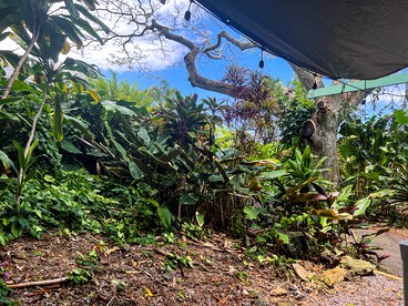 Glamping Safari Tent for Nature Escapes in Hawaii - Kealakekua, Hawaii - glamping.directory