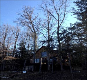Rustic Pet-Friendly Log Cabin in the Woodlands near Utica, New York - Canajoharie, New York - glamping.directory