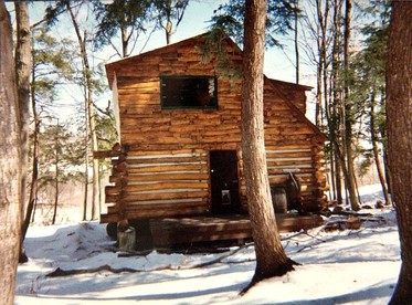 Rustic Pet-Friendly Log Cabin in the Woodlands near Utica, New York - glamping.directory
